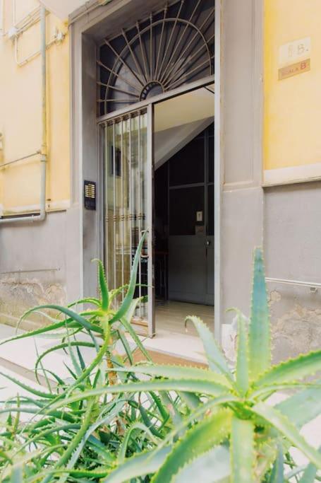 Mann House Apartamento Nápoles